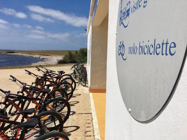 Noleggio Bici Stintino Asinara